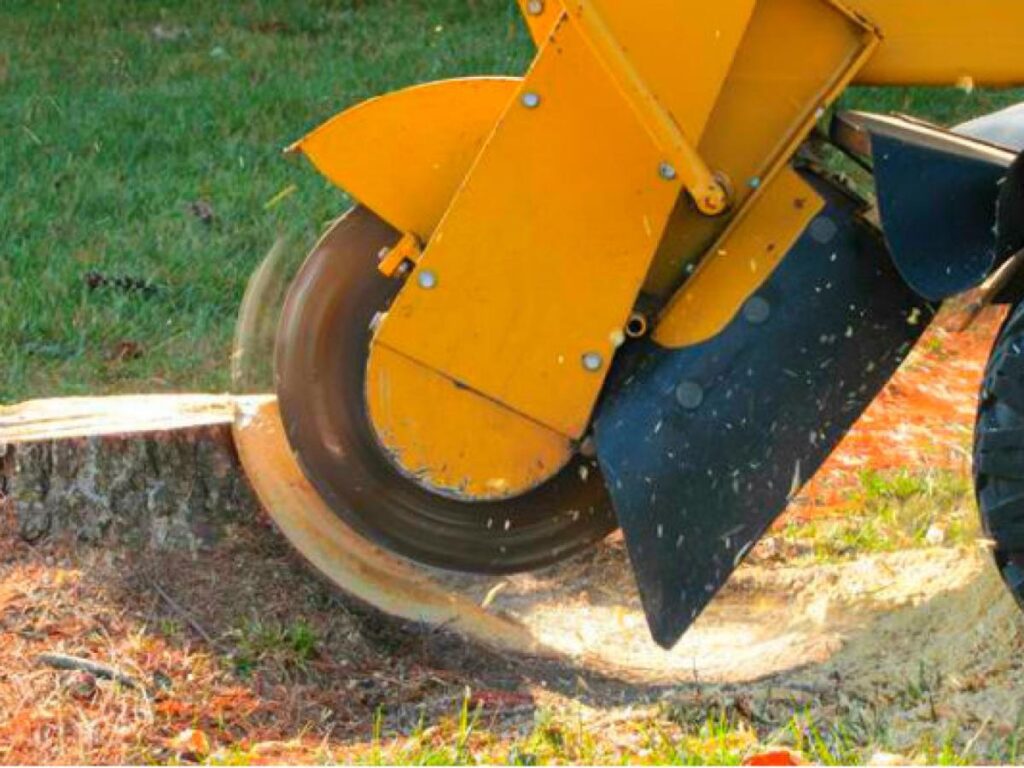 stump grinding service